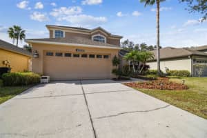 19306 SEACOVE DRIVE, LUTZ, FL 33558 Sold 02/13/24