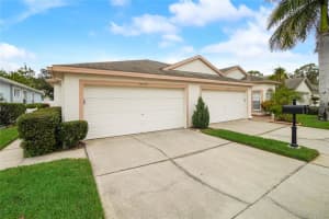 10030 BUCKLIN STREET, TAMPA, FL 33625 Sold 02/23/24