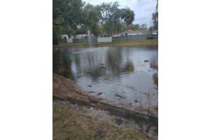 1705 CASTLE ROCK ROAD, TAMPA, FL 33612 Sold 03/28/24