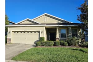 4222 Granite Glen Loop, WESLEY CHAPEL