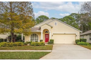 14641 CORKWOOD DRIVE, TAMPA, FL 33626 Sold 03/15/24