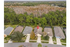 14641 CORKWOOD DRIVE, TAMPA, FL 33626 Sold 03/15/24