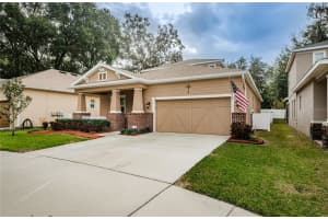 543 WESTCHESTER HILLS LANE, VALRICO, FL 33594 Sold 03/22/24