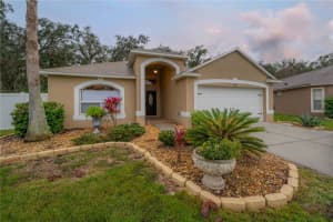 4623 BARCHETTA DRIVE, LAND O LAKES, FL 34639 Sold 02/28/24