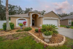 4623 BARCHETTA DRIVE, LAND O LAKES, FL 34639 Sold 02/28/24