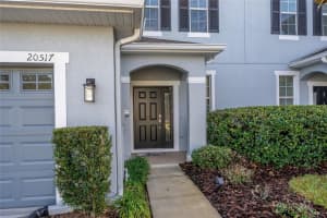 20517 GRAND VISTA LANE, TAMPA, FL 33647 Sold 04/08/24