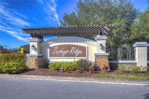 35658 HILLBROOK AVENUE, ZEPHYRHILLS, FL 33541 Sold 03/22/24