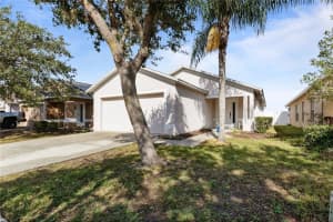 31111 MASENA DRIVE, WESLEY CHAPEL, FL 33545 Sold 03/02/24