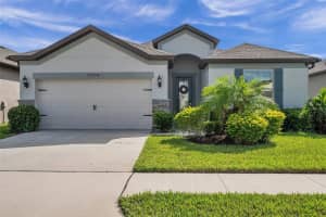11114 GREEN HARVEST DRIVE, RIVERVIEW, FL 33578 Sold 04/05/24