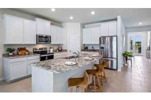 3809 CAPRI COAST DRIVE, PLANT CITY, FL 33565 Sold 06/12/24
