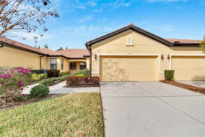 313 BLUEWATER FALLS COURT, APOLLO BEACH, FL 33572 Sold 07/12/24