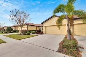 313 BLUEWATER FALLS COURT, APOLLO BEACH, FL 33572 Sold 07/12/24