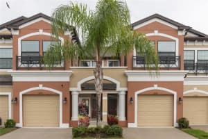 11452 CROWNED SPARROW LANE, TAMPA, FL 33626 Sold 04/01/24