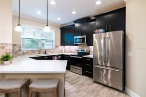11452 CROWNED SPARROW LANE, TAMPA, FL 33626 Sold 04/01/24