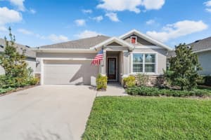 15147 CARAVAN AVENUE, ODESSA, FL 33556 Sold 02/21/24