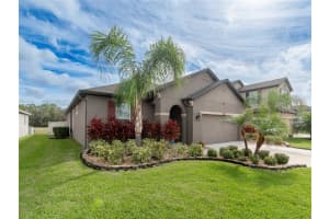 13412 PALMERA VISTA DRIVE, RIVERVIEW, FL 33579 Sold 03/05/24
