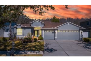 10660 GRAND RIVIERE DRIVE, TAMPA, FL 33647 Sold 03/13/24
