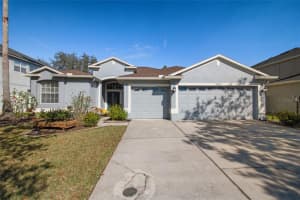 10660 GRAND RIVIERE DRIVE, TAMPA, FL 33647 Sold 03/13/24