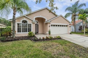11240 CYPRESS RESERVE DRIVE, TAMPA, FL 33626 Sold 04/16/24