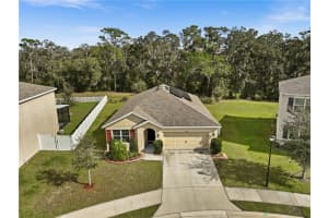 12026 MYRTLE ROCK DRIVE, RIVERVIEW, FL 33578 Sold 02/23/24