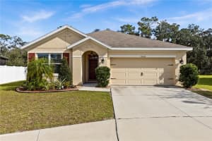 12026 MYRTLE ROCK DRIVE, RIVERVIEW, FL 33578 Sold 02/23/24