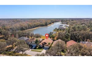 8617 FOXTAIL COURT, TAMPA, FL 33647 Sold 04/05/24
