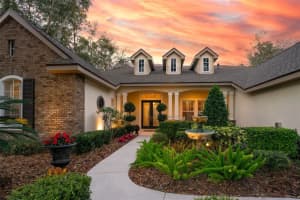 17802 MISSION OAK DRIVE, LITHIA, FL 33547 Sold 04/08/24