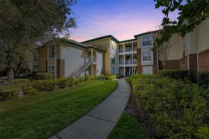 10114 WINSFORD OAK BOULEVARD, TAMPA, FL 33624 Sold 05/22/24