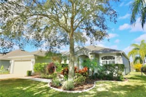 19021 FERN MEADOW LOOP, LUTZ, FL 33558 Sold 03/26/24