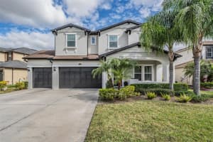 28839 PERILLI PLACE, WESLEY CHAPEL, FL 33543 Sold 04/10/24