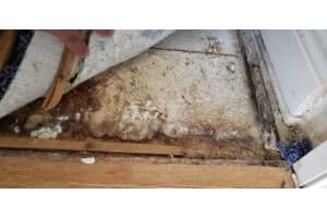 4909 LARKENHEATH DRIVE, SPRING HILL, FL 34609 - MLS#MFRT3501318