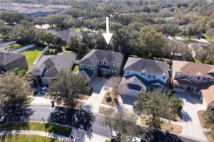 20006 BLUFF OAK BOULEVARD, TAMPA, FL 33647 Sold 05/08/24