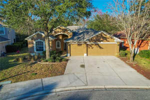 11045 RAGSDALE COURT, NEW PORT RICHEY, FL 34654 Sold 03/27/24
