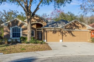 11045 RAGSDALE COURT, NEW PORT RICHEY, FL 34654 Sold 03/27/24