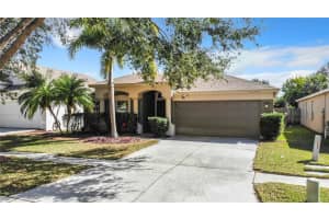 12506 HERONS PATH PLACE, RIVERVIEW, FL 33578 Sold 03/20/24