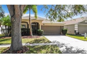 12506 HERONS PATH PLACE, RIVERVIEW, FL 33578 Sold 03/20/24