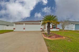 11239 ANDY DRIVE, RIVERVIEW, FL 33569 Sold 06/03/24