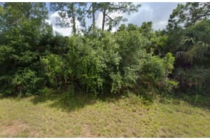 ANTIQUE CIR, NORTH PORT, FL 34288 - MLS#MFRT3502675