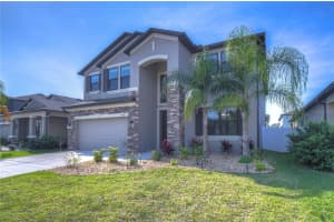 11423 AMAPOLA BLOOM COURT, RIVERVIEW, FL 33579 Sold 03/29/24