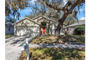 5307 WATSON ROAD, RIVERVIEW, FL 33578 Sold 04/12/24