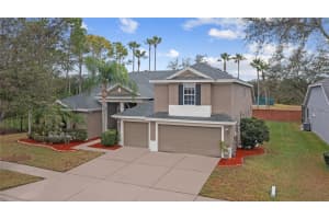 19104 AUTUMN WOODS AVENUE, TAMPA, FL 33647 Sold 04/15/24
