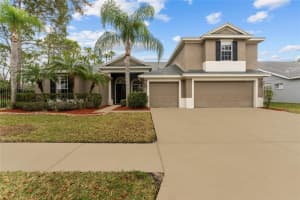 19104 AUTUMN WOODS AVENUE, TAMPA, FL 33647 Sold 04/15/24