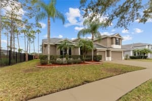 19104 AUTUMN WOODS AVENUE, TAMPA, FL 33647 Sold 04/15/24