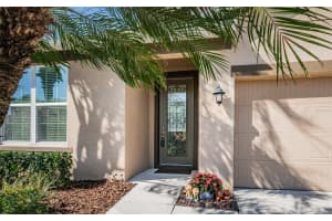 13339 PALMERA VISTA DRIVE, RIVERVIEW, FL 33579 Sold 04/18/24