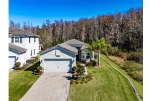 31022 LINDENTREE DRIVE, WESLEY CHAPEL, FL 33543 Sold 03/15/24