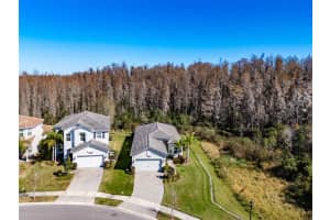 31022 LINDENTREE DRIVE, WESLEY CHAPEL, FL 33543 Sold 03/15/24