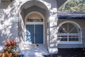 1724 PERCHERON DRIVE, TRINITY, FL 34655 Sold 03/01/24