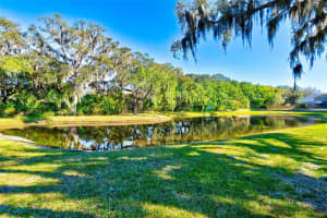5820 TULIP FLOWER DRIVE, RIVERVIEW, FL 33578 Sold 03/28/24