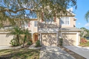 2825 CONCH HOLLOW DRIVE, BRANDON, FL 33511 Sold 03/29/24