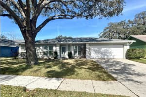 1743 SHADY LEAF DRIVE, VALRICO, FL 33596 Sold 03/15/24